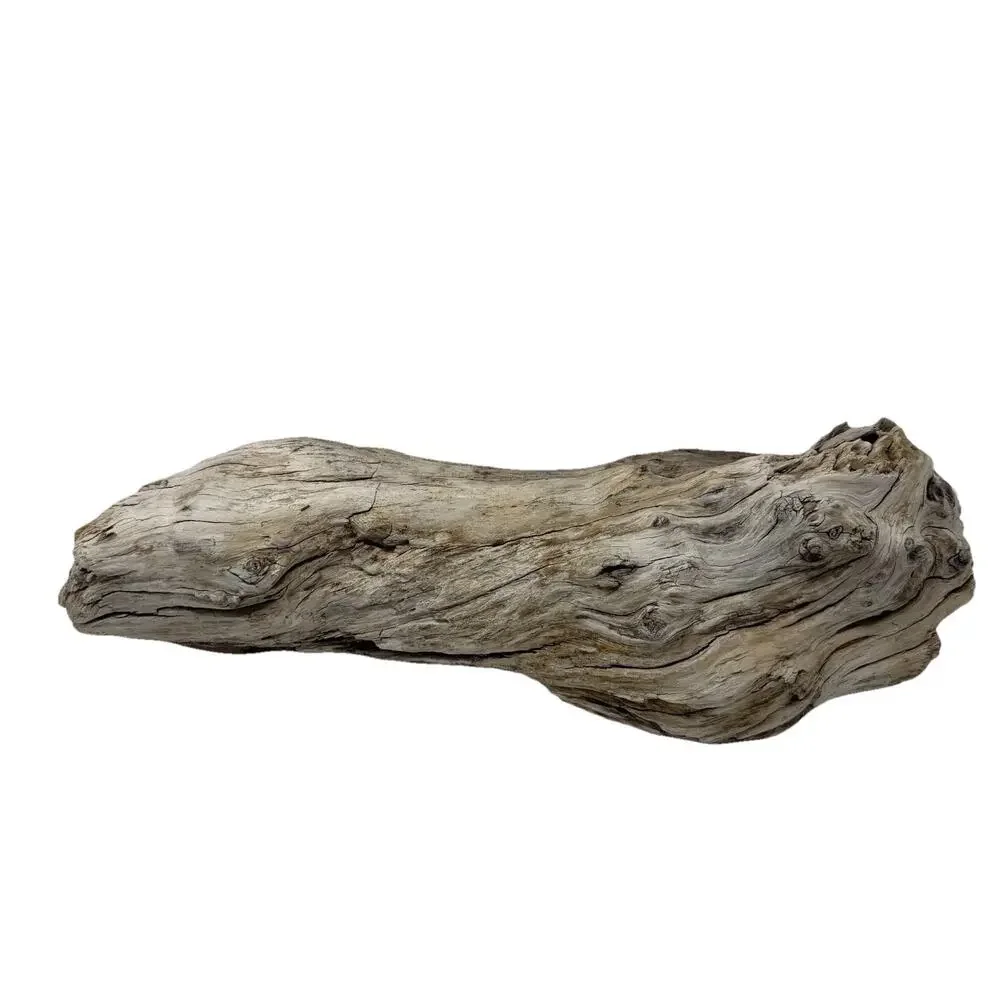 Large White Weathered Driftwood Log Sculpture – Natural Coastal Decor Statement